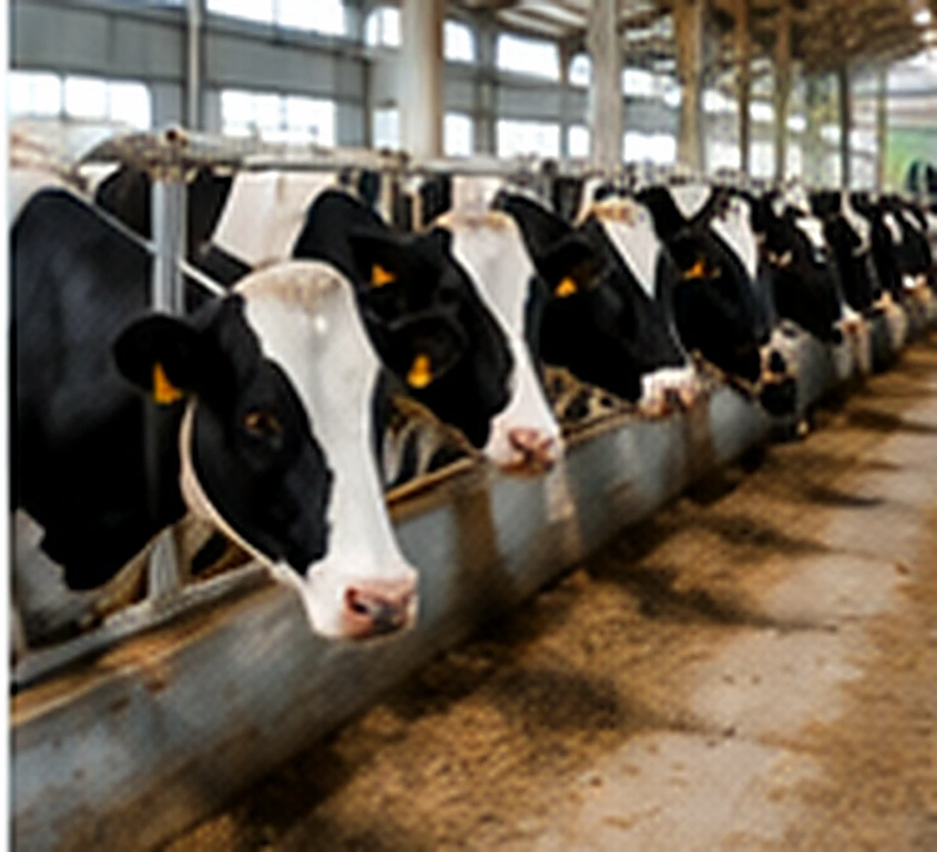 Agriculture and dairy application